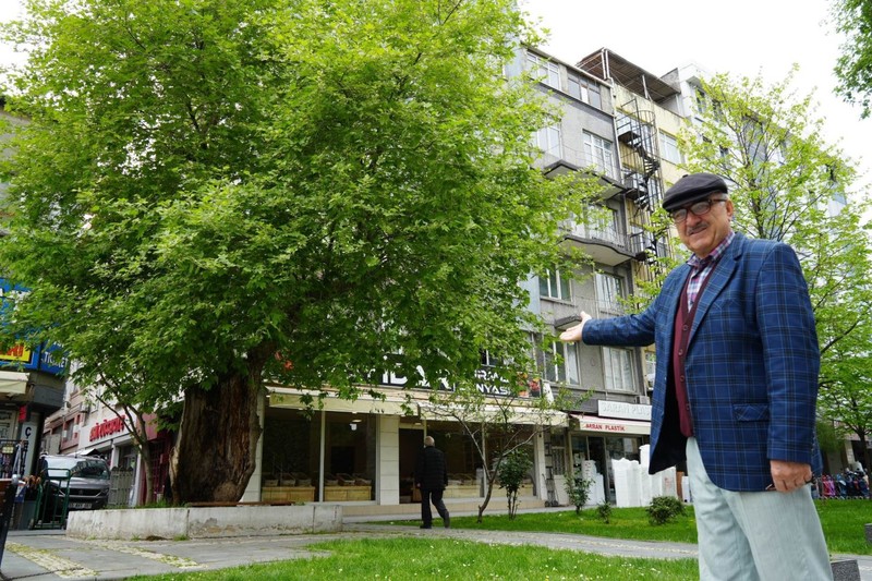 Samsun’daki 20 tanesinden bir tanesi! Yolda yürüdüğü sırada onu görenler dönüp bir kez daha bakıyor - Resim: 4