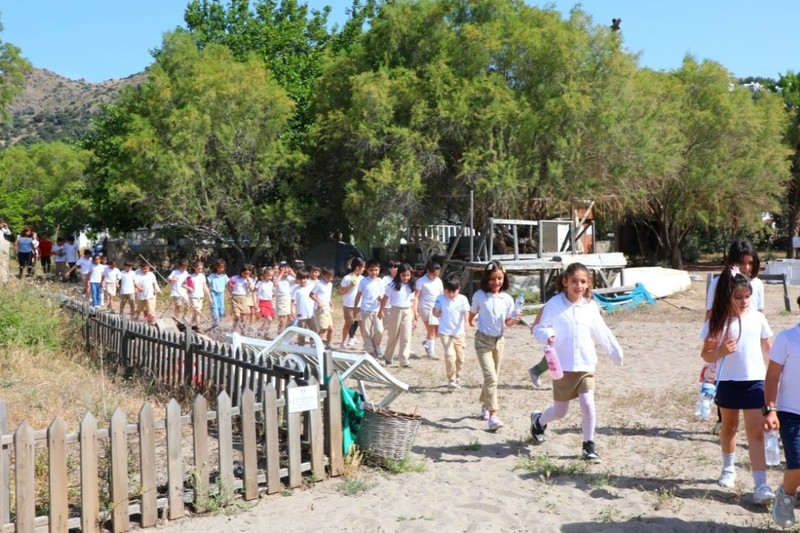 Bodrum’da 1 tanesi bile doğada çok kıymetli. Çocuklara bile tanıtıldı. Dokunan 387 bin 141'i feda edecek - Resim: 5