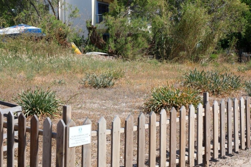 Bodrum’da 1 tanesi bile doğada çok kıymetli. Çocuklara bile tanıtıldı. Dokunan 387 bin 141'i feda edecek - Resim: 4