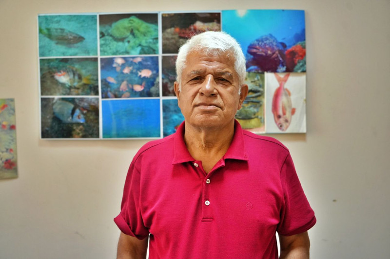 Hatay, Adana, Mersin, Antalya, İzmir ve Marmara'ya acil uyarı verildi. 5'er 5'er her yerden çıkıyorlardı. Sakın bu hareketi yapmayın artık - Resim: 2