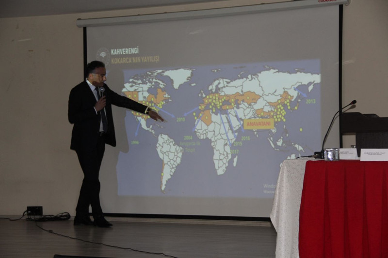 Samsun'da hedef büyüdü! 1.000.000 tanesini doğaya salmak istiyorlar - Resim: 2