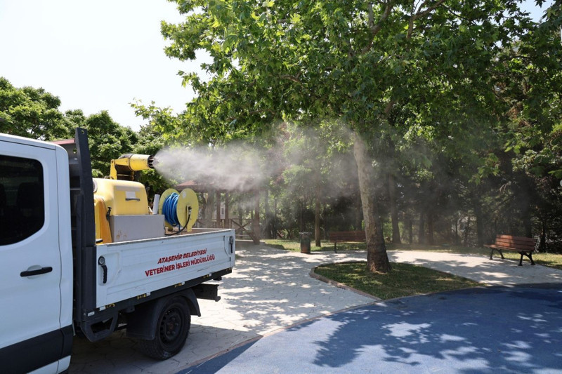İstanbul'da Ataşehir'den büyük mücadele başladı! 100.000'lercesi her yerde gizlenen hayvana karşı dikkat - Resim: 3