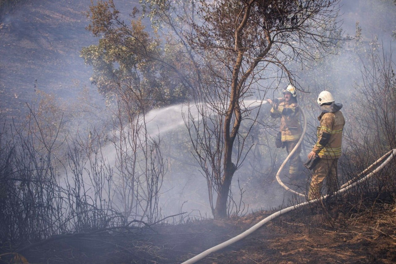 İzmir'de ciğerlerimiz yanıyor! Buca, Ödemiş, Çeşme'de alevlerle mücadele sürüyor... Bakan Yumaklı'dan son durum açıklaması - Resim: 6