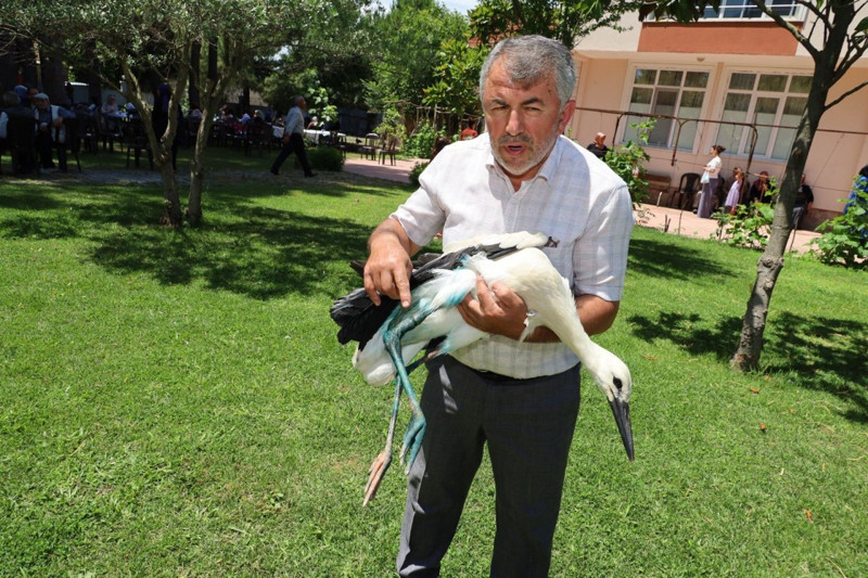 Samsun'da imam yaralı leyleği kurtardı. Kurtarılan leylek Kur'an kursunun gözdesi oldu - Resim: 3