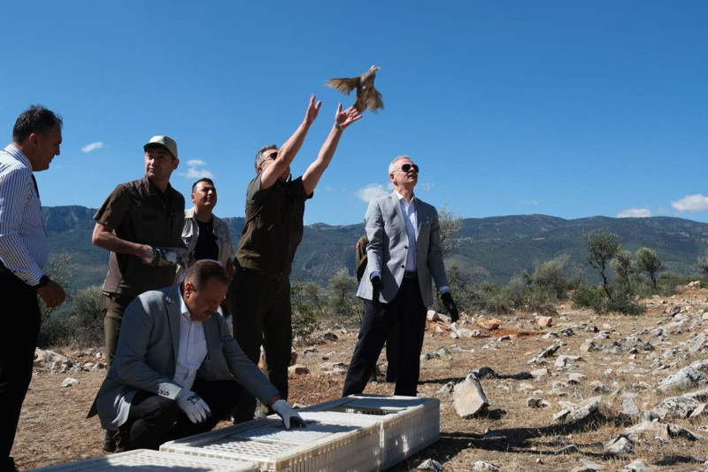 Karaman’da 500 tanesi doğaya bırakıldı... 500 tanesinin  de Türkiye için çok önemli 1 görevi var - Resim: 1