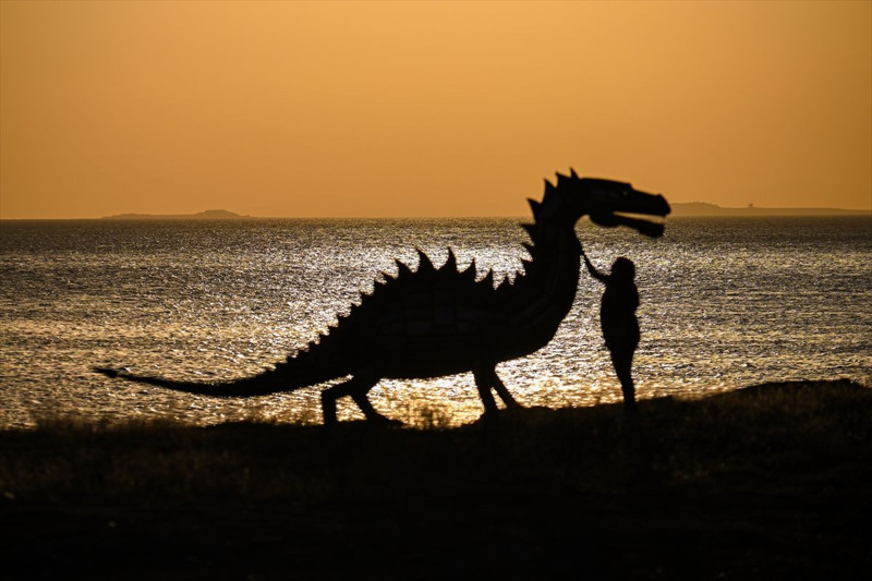 Hurdayı sanata dönüştürdü: Van Gölü Canavarı sahilde ortaya çıktı! - Resim: 12