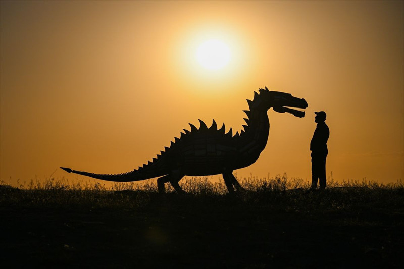 Hurdayı sanata dönüştürdü: Van Gölü Canavarı sahilde ortaya çıktı! - Resim: 13