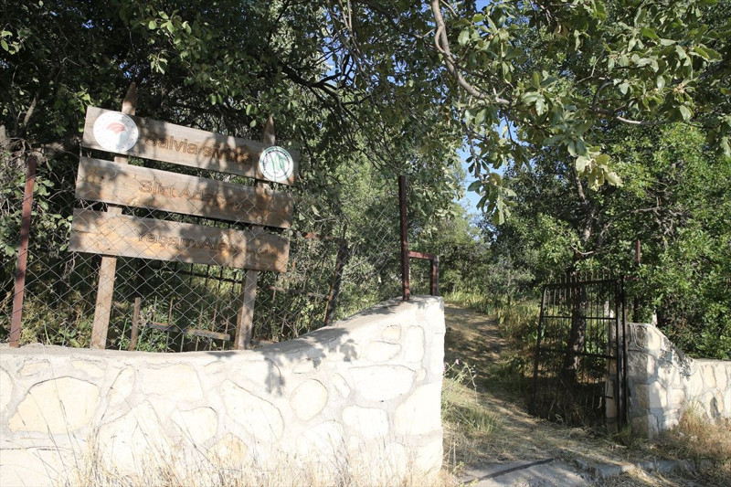 Siirt'te mezarlıkta ortaya çıktı! Koparan yandı: 557 bin TL cezası, köylüler nöbete geçti - Resim: 6