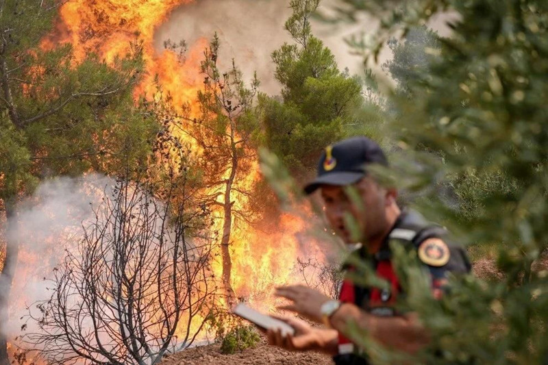 Sabah sönmüştü, akşam tekrar alevlendi: Sakarya-Bilecik hattındaki yangın köyleri tehdit ediyor - Resim: 2
