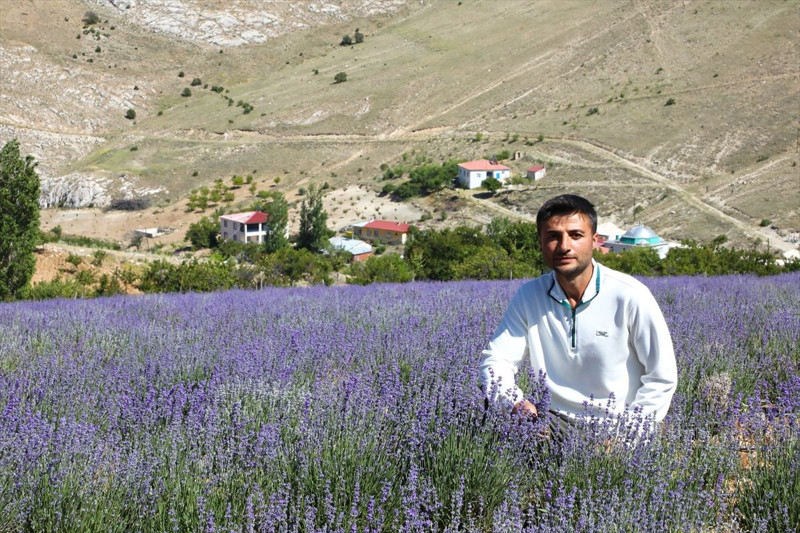 Malatya’da genç çiftçi lavanta üretimiyle kırsal kalkınmaya katkı sağlıyor - Resim: 2
