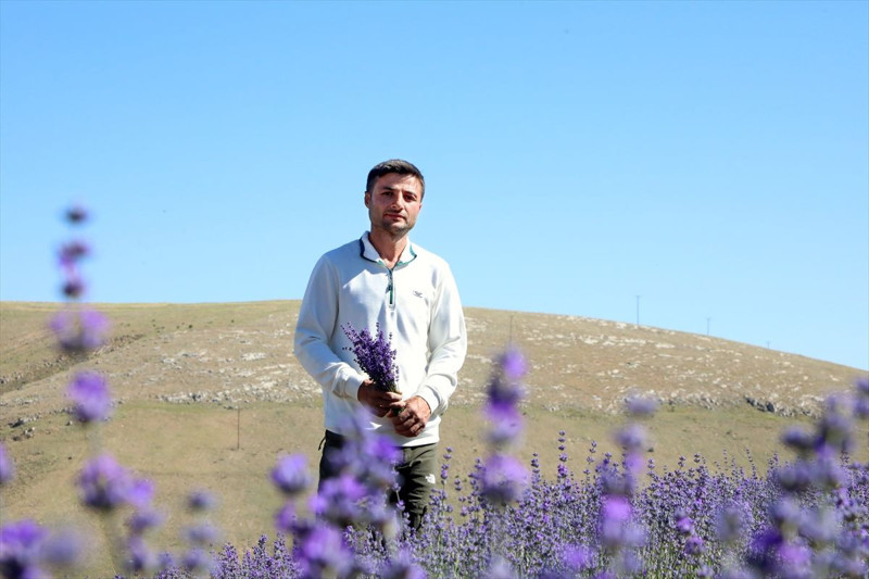 Malatya’da genç çiftçi lavanta üretimiyle kırsal kalkınmaya katkı sağlıyor - Resim: 4
