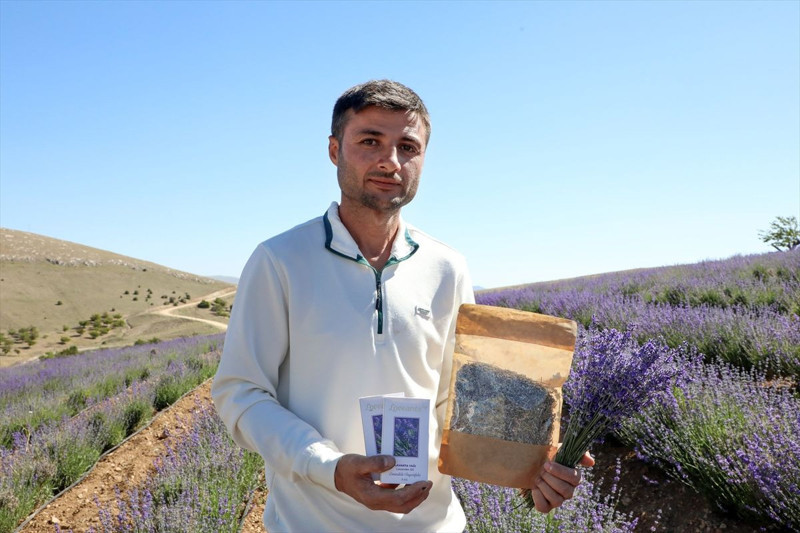 Malatya’da genç çiftçi lavanta üretimiyle kırsal kalkınmaya katkı sağlıyor - Resim: 7