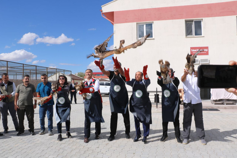Afyon'da rehabilitasyon merkezinde tedavisi tamamlanan toplam 27 hayvan tekrar doğaya salındı - Resim: 4