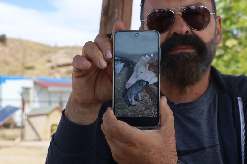 Sivas’ta görülmemiş dostluk! Bir yılda geçse aynı bağ devam ediyor - Resim: 6