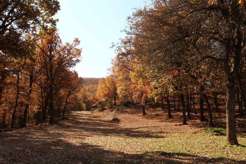 Afyonkarahisar’da sonbahar renkleri büyüledi! Masalsı manzara sosyal medyada beğeni topladı - Resim: 1