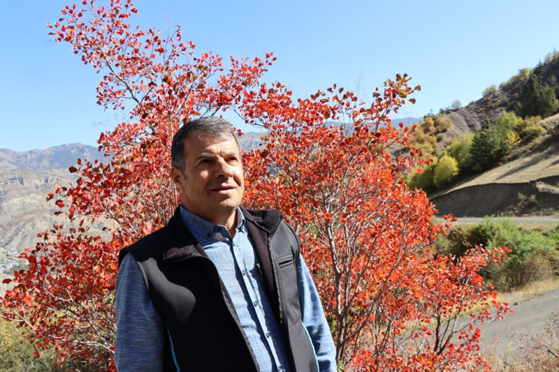 Erzurum’da kaplaç ağaçları bu yıl kırmızıya döndü! Sonbahar manzarası büyüledi - Resim: 1