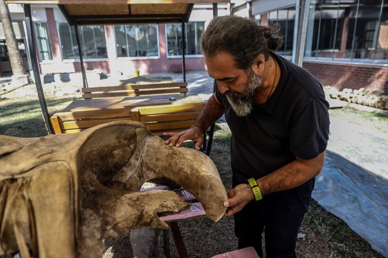 Mersin’de 14 metrelik devin iskeleti ortaya çıkarıldı! Eşsiz kalıntı sergileneceği günü bekliyor - Resim: 2