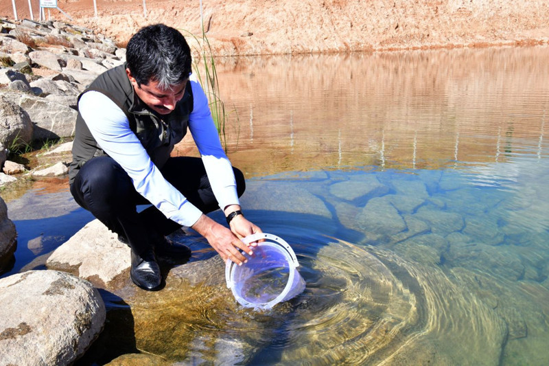 Aşıkpaşa Göleti’ne binlerce canlı bırakıldı! Doğal yaşam yeniden canlanıyor - Resim: 1