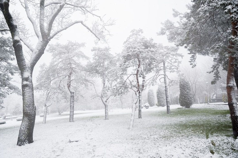 İstanbul'da kar etkili oluyor! Lapa lapa kar için saat verildi! 41 ile sarı kodlu uyarı - Resim: 2