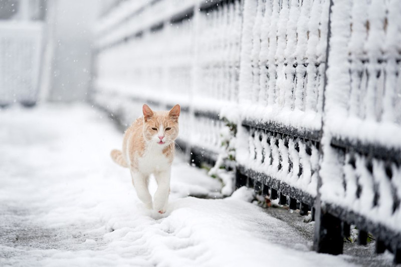 İstanbul'da kar etkili oluyor! Lapa lapa kar için saat verildi! 41 ile sarı kodlu uyarı - Resim: 6