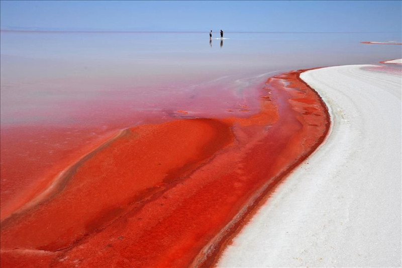 Türkiye'de ailelerimizin sofrasındaki baş düşman! Kulağından tutup evden dışarı atın - Resim: 9