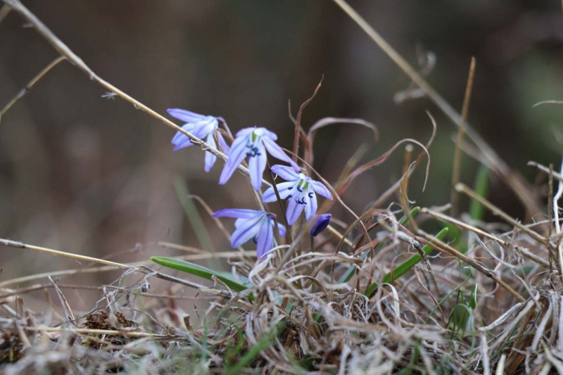 Erzurum'da 23 Şubat'ta meydana gelen doğal hadise şaşırttı - Resim: 2