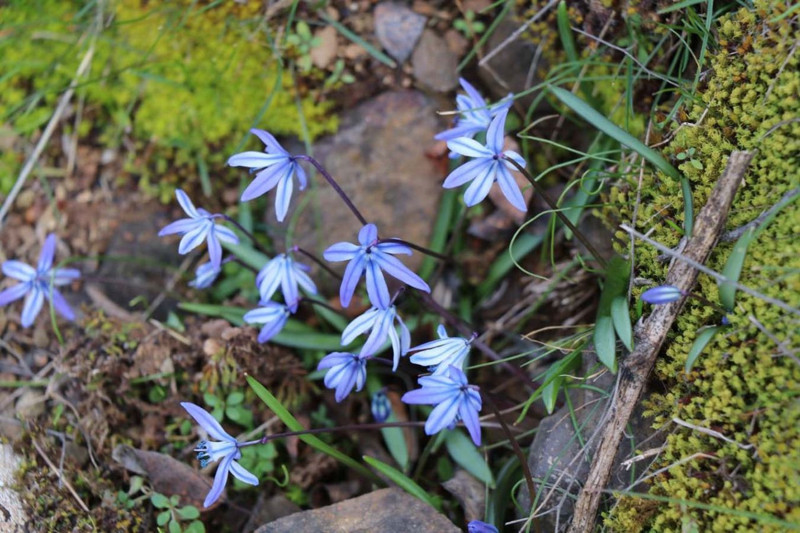 Erzurum'da 23 Şubat'ta meydana gelen doğal hadise şaşırttı - Resim: 3