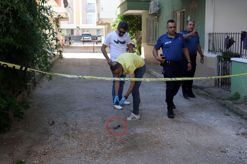 Bir vahşet haberi de Antalya'dan! Öğretmen koca eşini ve kayınpederini katletti: Kafa derisi ve saçı sokağa düştü - Resim: 8