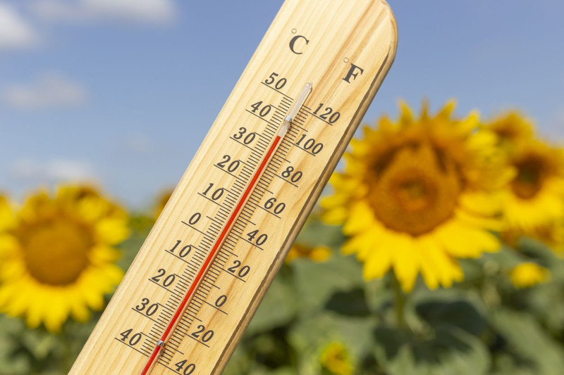 Meteoroloji'den son dakika uyarısı: Harita güncellendi! Kuvvetli sağanak geliyor: İşte o iller - Resim: 10