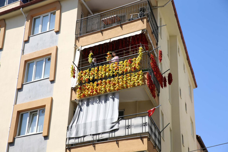 3 çuvalla başladı, 2 tona ulaştı! Herkes fotoğrafını çekmek için yarışıyor: Oturup ağlamaktansa para kazanmak daha güzel - Resim: 2