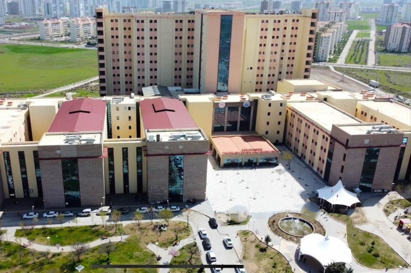 Gökten inen facia: İki kız kardeşi yıldırım çarptı - Resim: 2