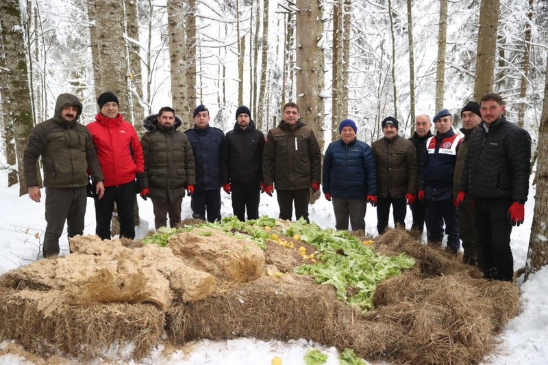 Düzce'de kar kalınlığının 100 santimetreyi bulduğu yerde, harekete geçtiler. Karların üzerine tek tek onlar için bırakıp döndüler - Resim: 3