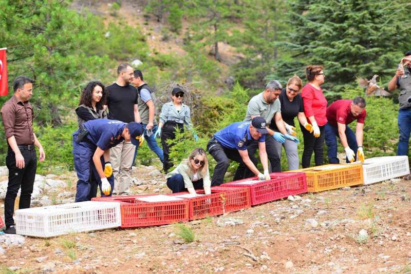 Adana’da, sayı duyan şaştı kaldı! Binlercesi suya, yüzlercesi toprağa bırakıldı - Resim: 1