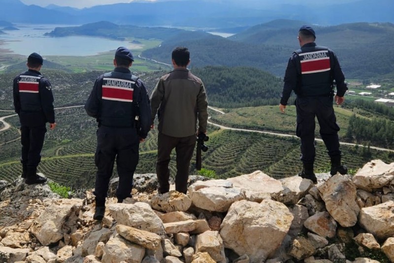 Isparta'da doğada 10'larcası sürü halinde geziyordu. Kimse dokunmasın dediler dinlemedi. 671 bin 355'i hazır edecek - Resim: 1