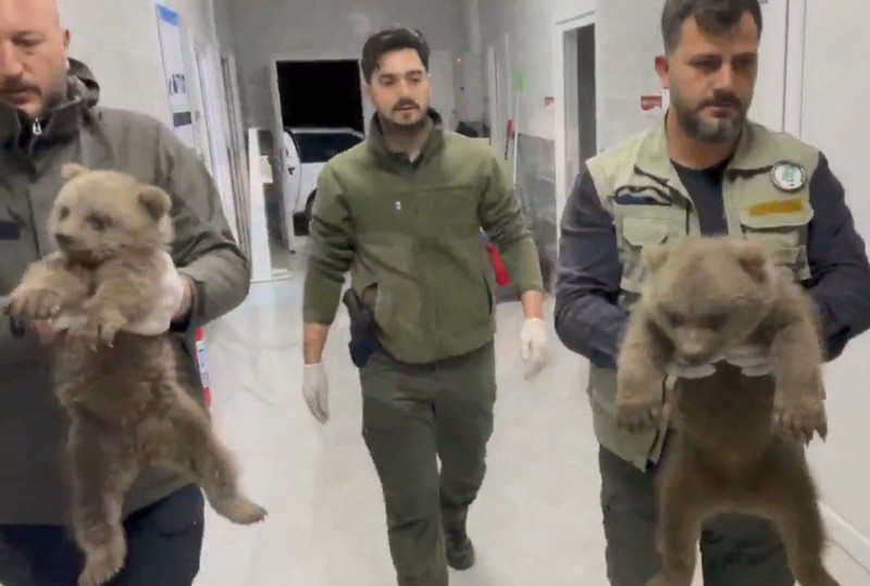 Sinop'ta 2 tanesi doğanın içerisinde yalnız başlarına bulundu... Etraflarına bakan ekipler yanı başlarında hiç kimseyi görmedi - Resim: 3