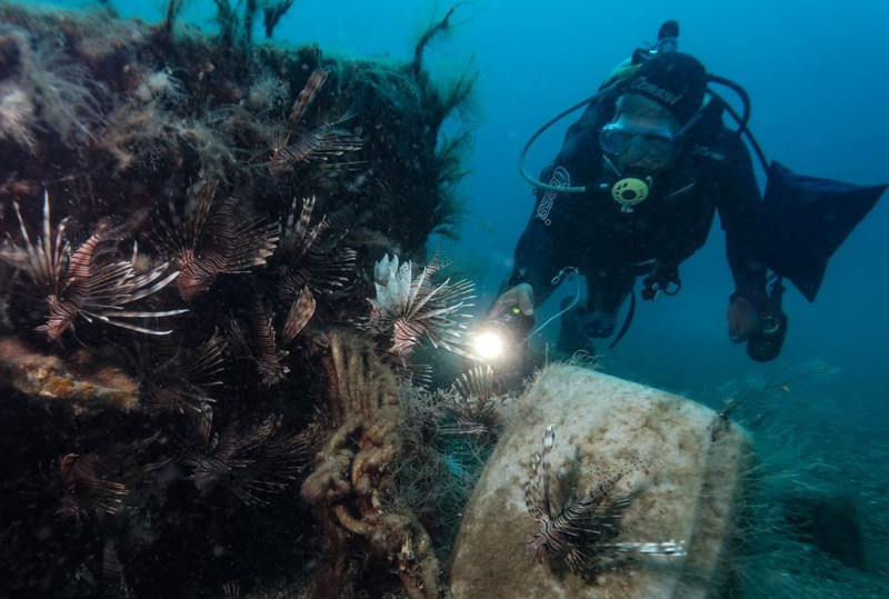 Hatay, Adana, Mersin ve Antalya'ya yerleşmişlerdi. Sayıları 71'e yükseldi. İzmir'den sonra Marmara'ya korkunç 71 uyarısı verildi istilacı hayvan artık ensenizde - Resim: 4