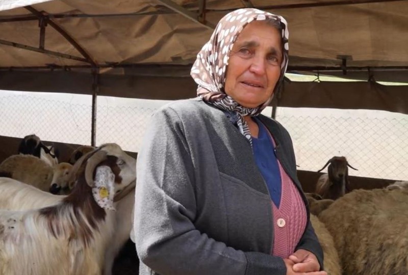 Kırıkkale’de koyunu değil sadece 1 tane kuzusu vardı. 1 tane kuzusundan sonra sayı 24 koyuna çıktı. Çiftçi ahıra gidip gördüğü manzara ile yıkıldı - Resim: 2