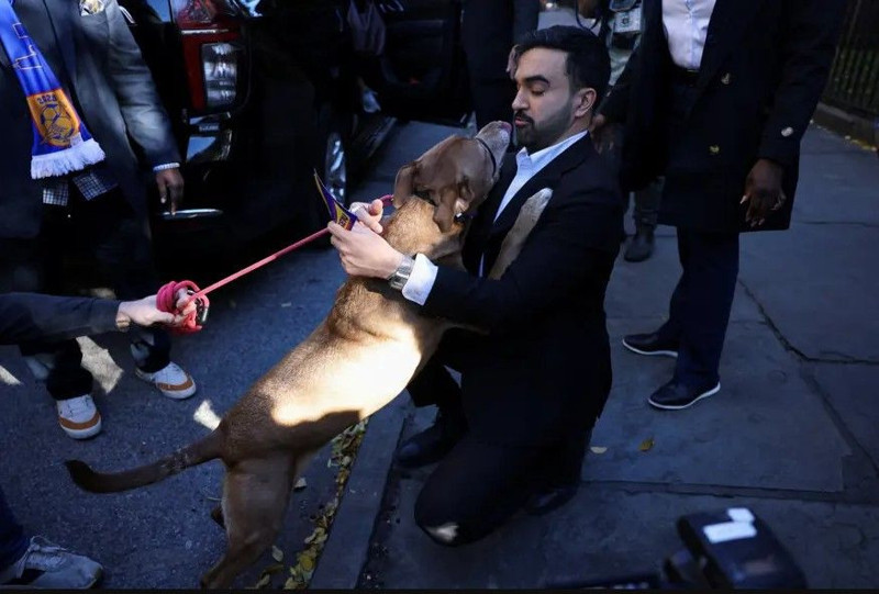 ABD'ye ilkleri yaşattı, Trump'ın hedefi oldu! İşte New York Belediye Başkanı Zohram Mamdani'nin öyküsü - Resim: 9