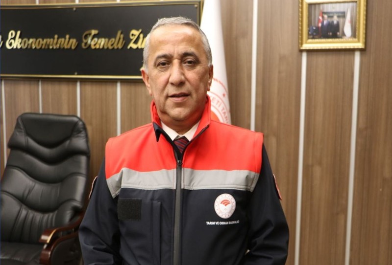 Samsun'da doğada 10.000 tanesi serbestçe geziyordu! Resmi ekipler o detayı fark etti. Acilen Kandıra'dan 36 tanesi getirilip 10.000 tanenin arasına bırakıldı - Resim: 1