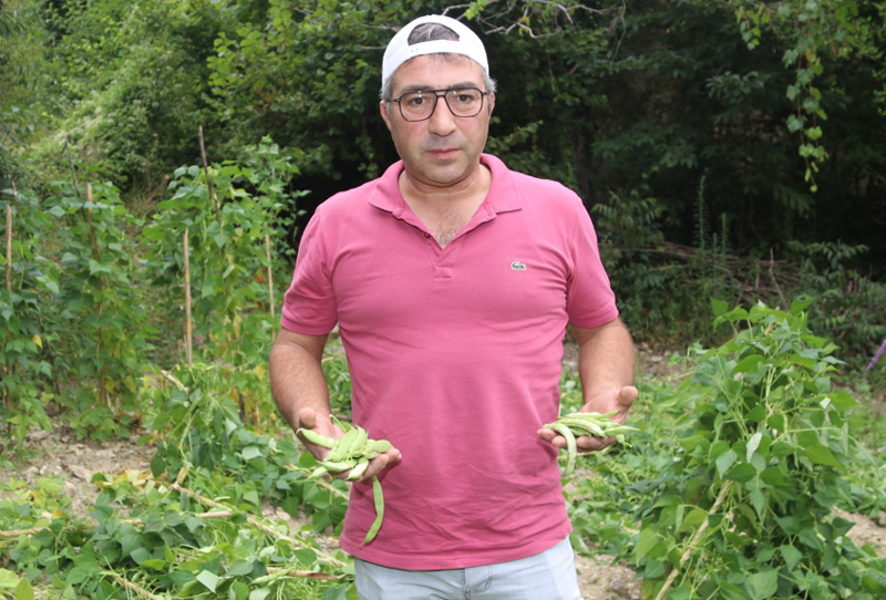Amasya Taşova’da ayılar bahçeye girdi, fasulyelere zarar verdi - Resim: 1