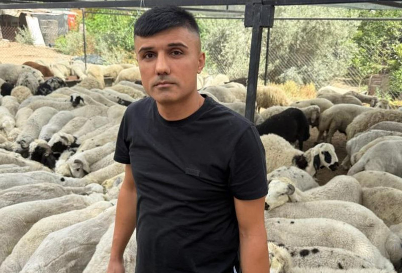 Adana'da 10.000'lerce koyun tek tek görücüye çıktı. Koyunlar hakkında flaş uyarı da yapıldı: "Karnında onu görürseniz uzak durun" - Resim: 4