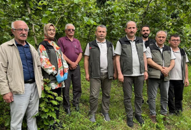 Ordu, Giresun, Samsun, Trabzon'dan sonra haftada 300.000 çoğalan istilacı Marmara'ya da giriş yaptı. Tek çare 10.000'lerce o hayvandan salmak - Resim: 3