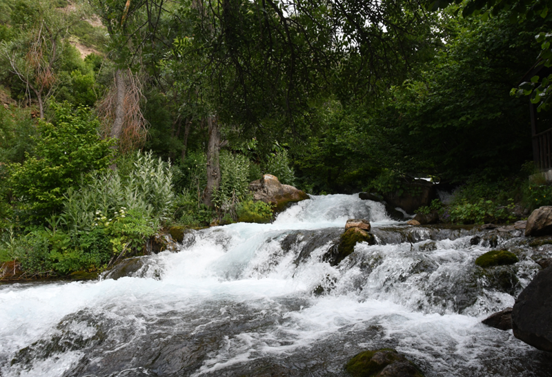 Gümüşhane Tomara Şelalesi doğa severleri ağırlıyor: Hedef 200 bin ziyaretçi - Resim: 1