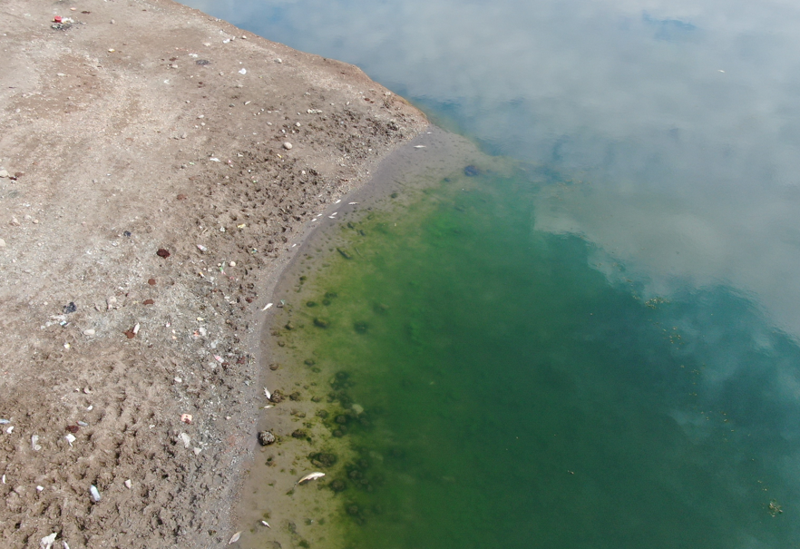Kastamonu’da baraj çekildi, kıyılarda acı tablo ortaya çıktı - Resim: 6