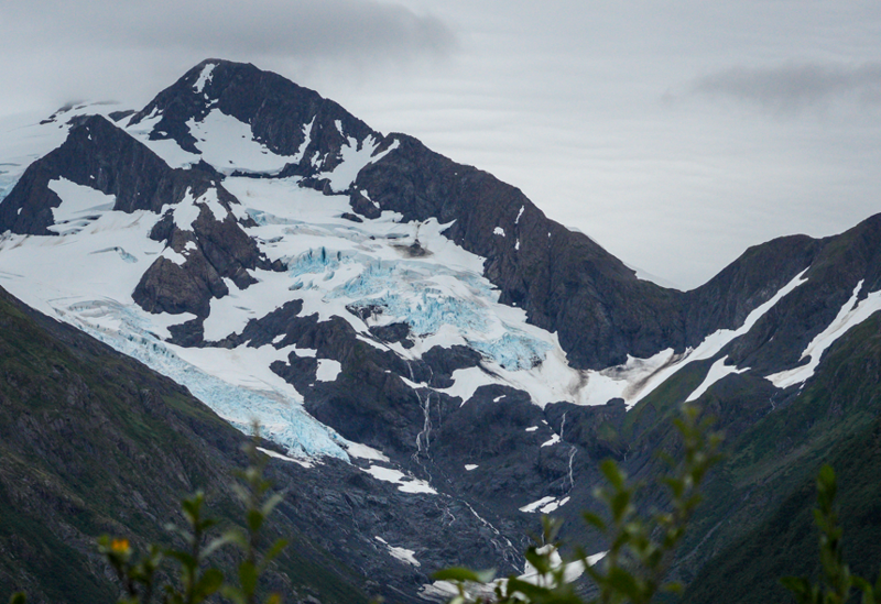 Alaska’da büyüleyici anlar! Binlerce canlı akıntıya karşı aynı anda yol aldı - Resim: 1