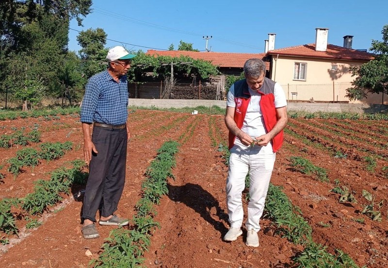 Muğla'nın çiftçilerine tarımsal destek ziyareti yapıldı - Resim: 2