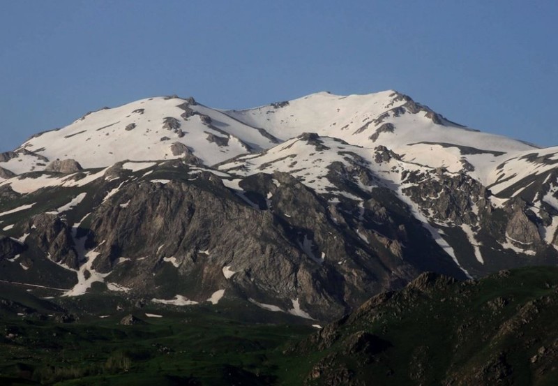 Hakkari'de doğada  2 bin 938 metre yükseklikte tespit edildi. Araştırmacılar 1 tane hayvanı görür görmez hemen resmi kayda aldı Türkiye'de ilk kez görüldü - Resim: 1