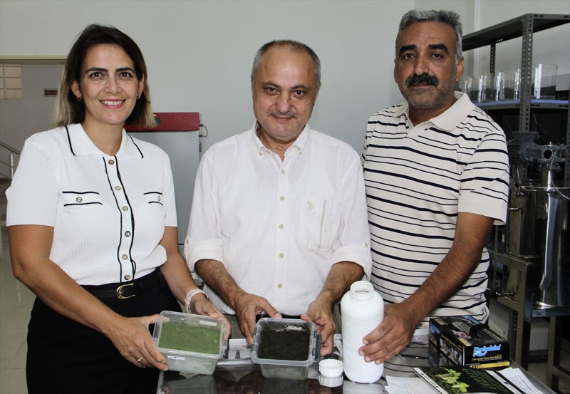 Karadeniz’de büyük temizlik! Sinop’ta denizden toplanan yosunlar değerlendiriliyor - Resim: 1