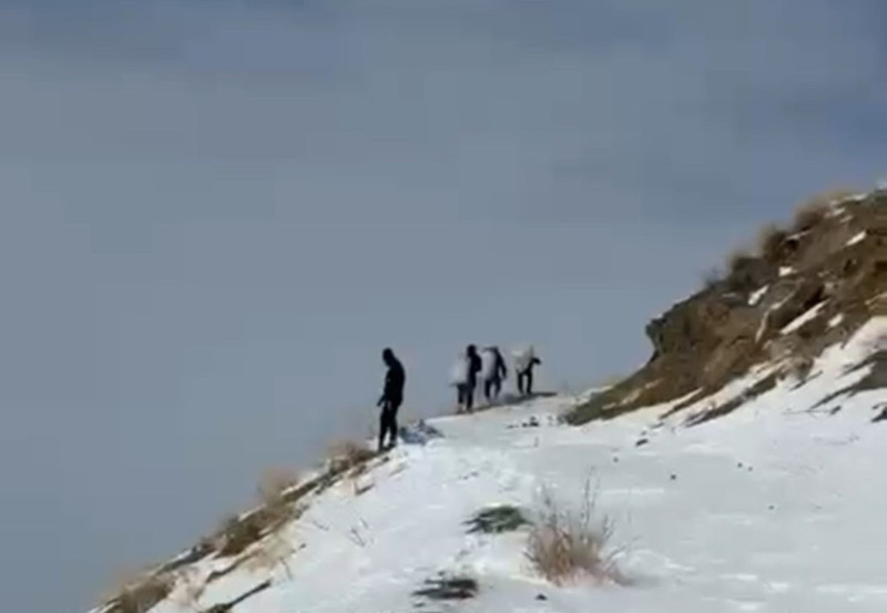 Hakkari'de 70 tanesi açlıktan titriyordu! 1000'lerce adım atarak dağın zirvesine yanlarına gittiler - Resim: 3