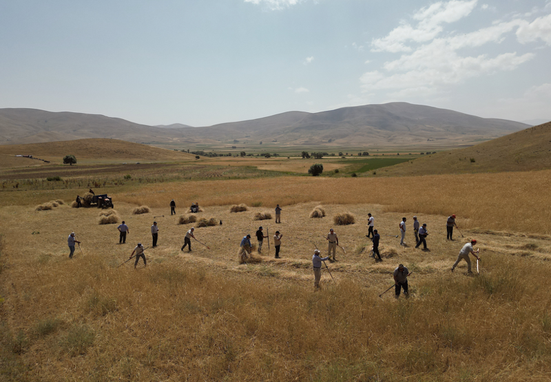 Çorum’da 2 ayda su seviyesi hızla düştü, gövdeden tepecikler ortaya çıktı - Resim: 1